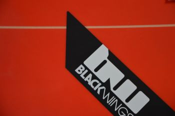 BlackWings 9'1 LONGBOARD ALROUND Epoxy Couleur ROUGE